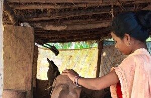गणपति बप्पा की मिट्टी की प्रतिमा बनाकर बस्तर की महिलाओं ने हुनर से कमाए 1.80 लाख रुपए