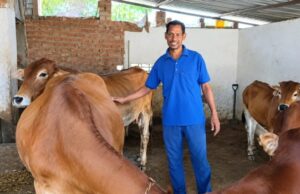 नस्ल सुधार से बढ़ा दुग्ध उत्पादन, मजबूत हुई दयासागर की आजीविका