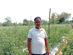 सेवा की कहानी : कम पानी में खीरे की खेती से मुकेश ने कमाए 2.25 लाख रुपये, अब 4 एकड़ में टमाटर की तैयारी
