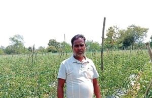 सेवा की कहानी : कम पानी में खीरे की खेती से मुकेश ने कमाए 2.25 लाख रुपये, अब 4 एकड़ में टमाटर की तैयारी