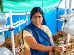 आत्मनिर्भरता की नई मिसाल- खेतों से मशरूम उत्पादन तक मिथिला दीदी ने लिखी सफलता की नई कहानी