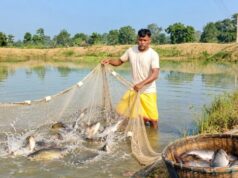सेवा की कहानी : सेवा संकल्प अभियान: डबरी बनी समृद्धि का आधार, सिंचाई के साथ मछली पालन से बढ़ी आय