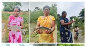 बहता पानी लाया खुशहाली: कुकरेल में 200 से अधिक फार्म पॉन्ड बने जल संरक्षण और आजीविका का सशक्त मॉडल