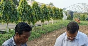 हर घर मुनगा, घर-घर मुनगा: पौध उत्पादन से रोपण तक दिया गया प्रशिक्षण