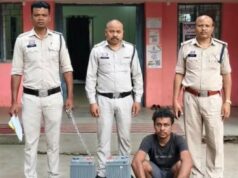 मोबाइल टावर से बैटरी चोरी करने वाला फरार आरोपी गिरफ्तार, तमनार पुलिस ने चोरी की 2 बैटरियां की बरामद कर भेजा जेल