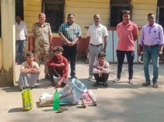जंगली सूअर के अवैध शिकार का खुलासा, तीन आरोपी गिरफ्तार, 30 किलो मांस, तराजू, चाकू और दो कुल्हाड़ियां जब्त; वन विभाग की कार्रवाई से मचा हड़कंप