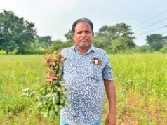कृषक उन्नति योजना से प्रोत्साहित होकर किसान इंधर पटेल ने धान के बदले दो एकड़ में लगाई मूंगफली