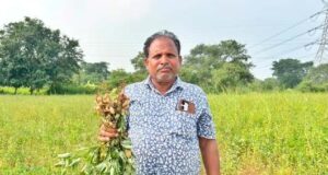 कृषक उन्नति योजना से प्रोत्साहित होकर किसान इंधर पटेल ने धान के बदले दो एकड़ में लगाई मूंगफली